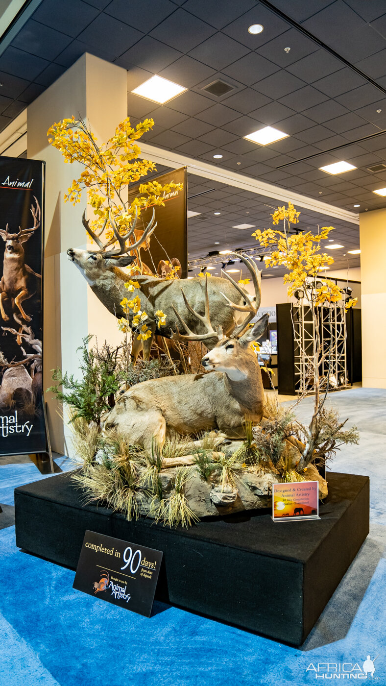 Safari Club International Convention 2020