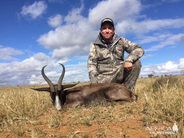 South Africa Black Springbok Hunting