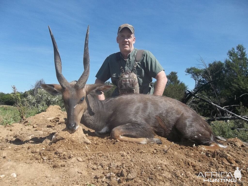 South Africa Hunt Bushbuck