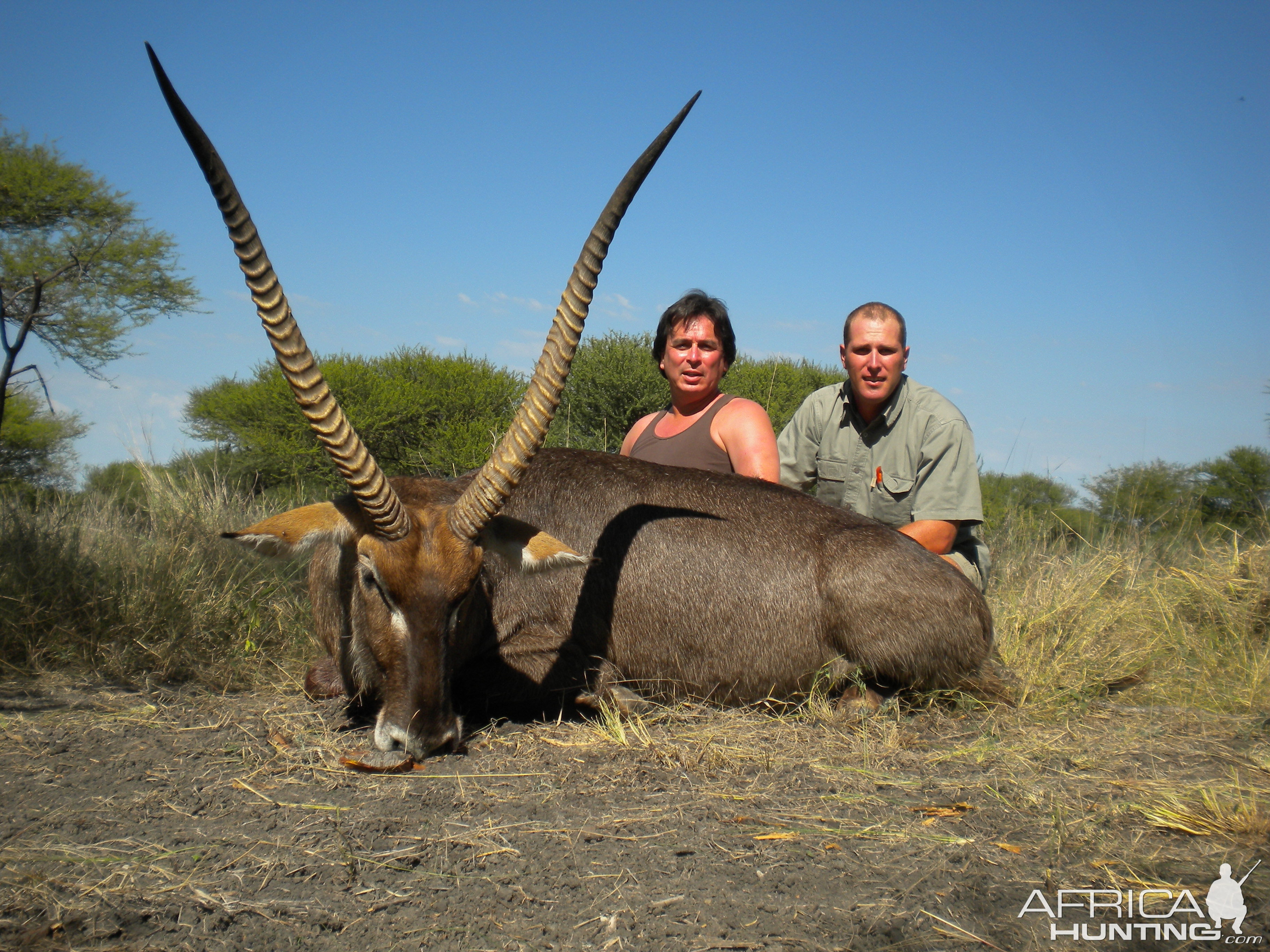 South Africa Hunting Waterbuck