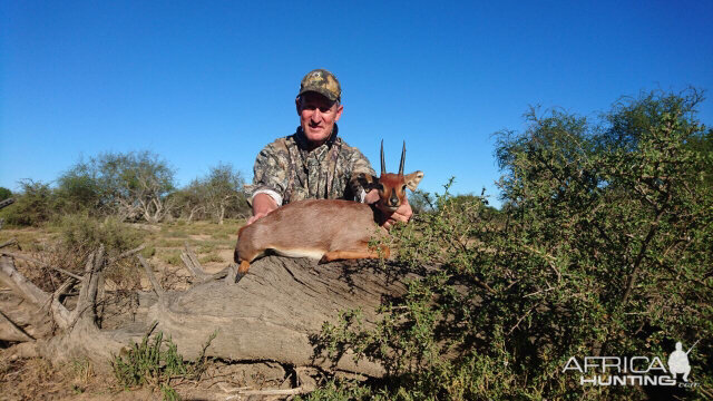 South Africa Steenbok Hunting
