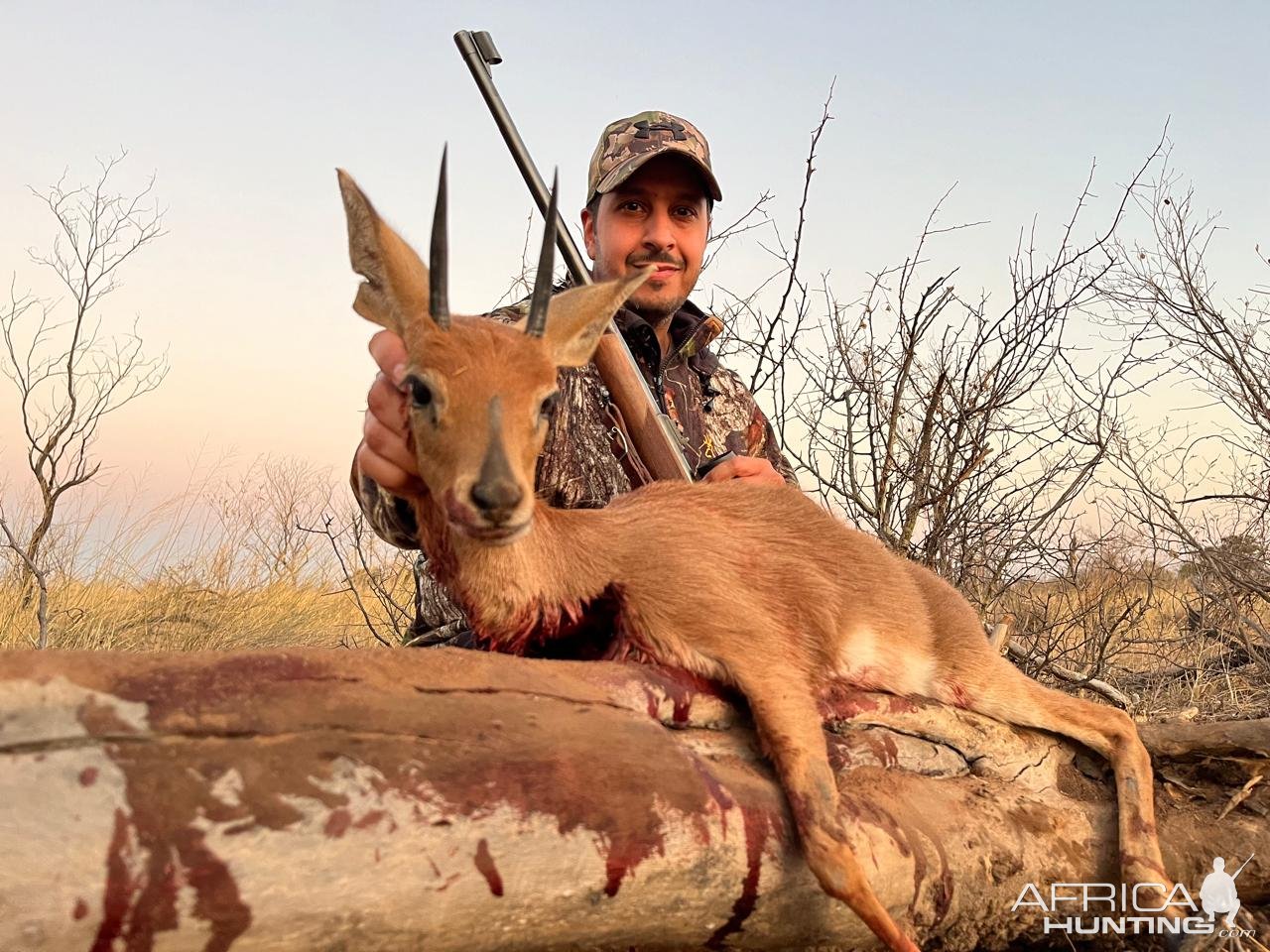 Steenbok Hunt Limpopo South Africa