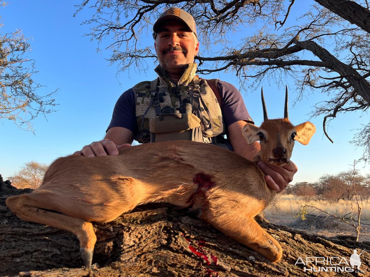 Steenbok Hunt Limpopo South Africa