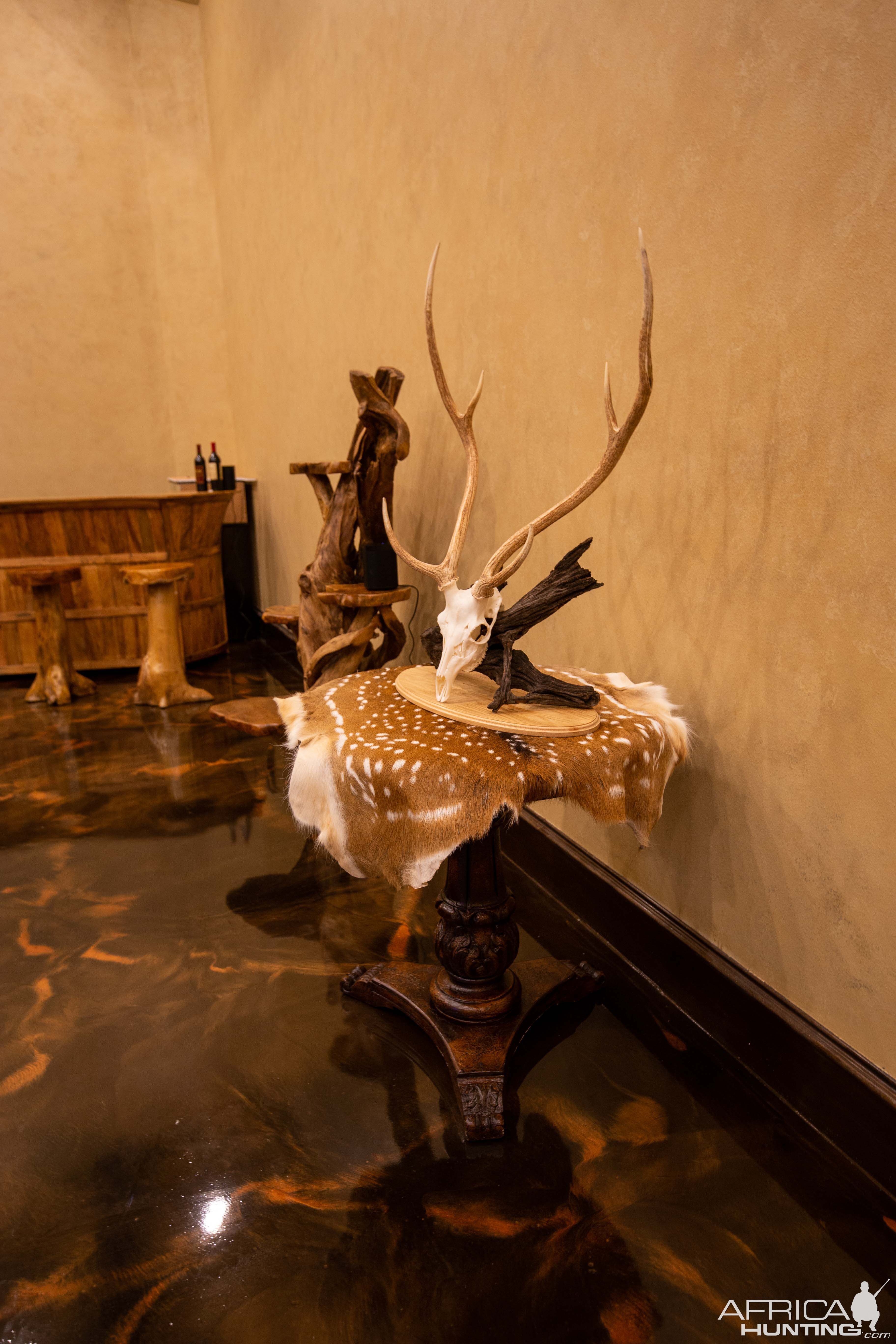 Trophy Room