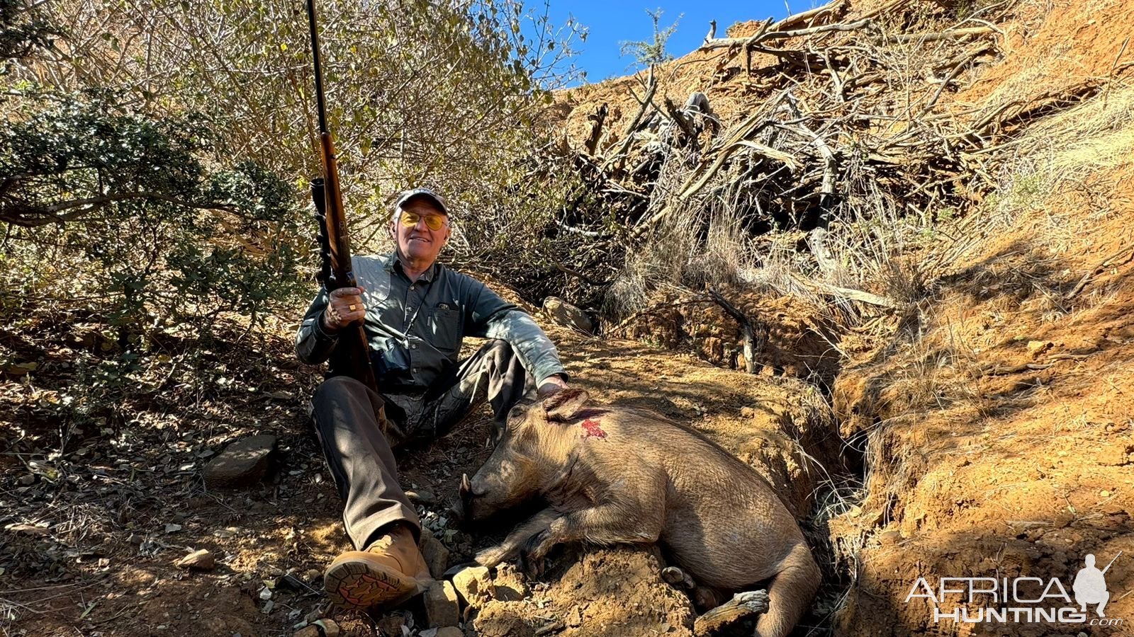 Warthog Hunt South Africa