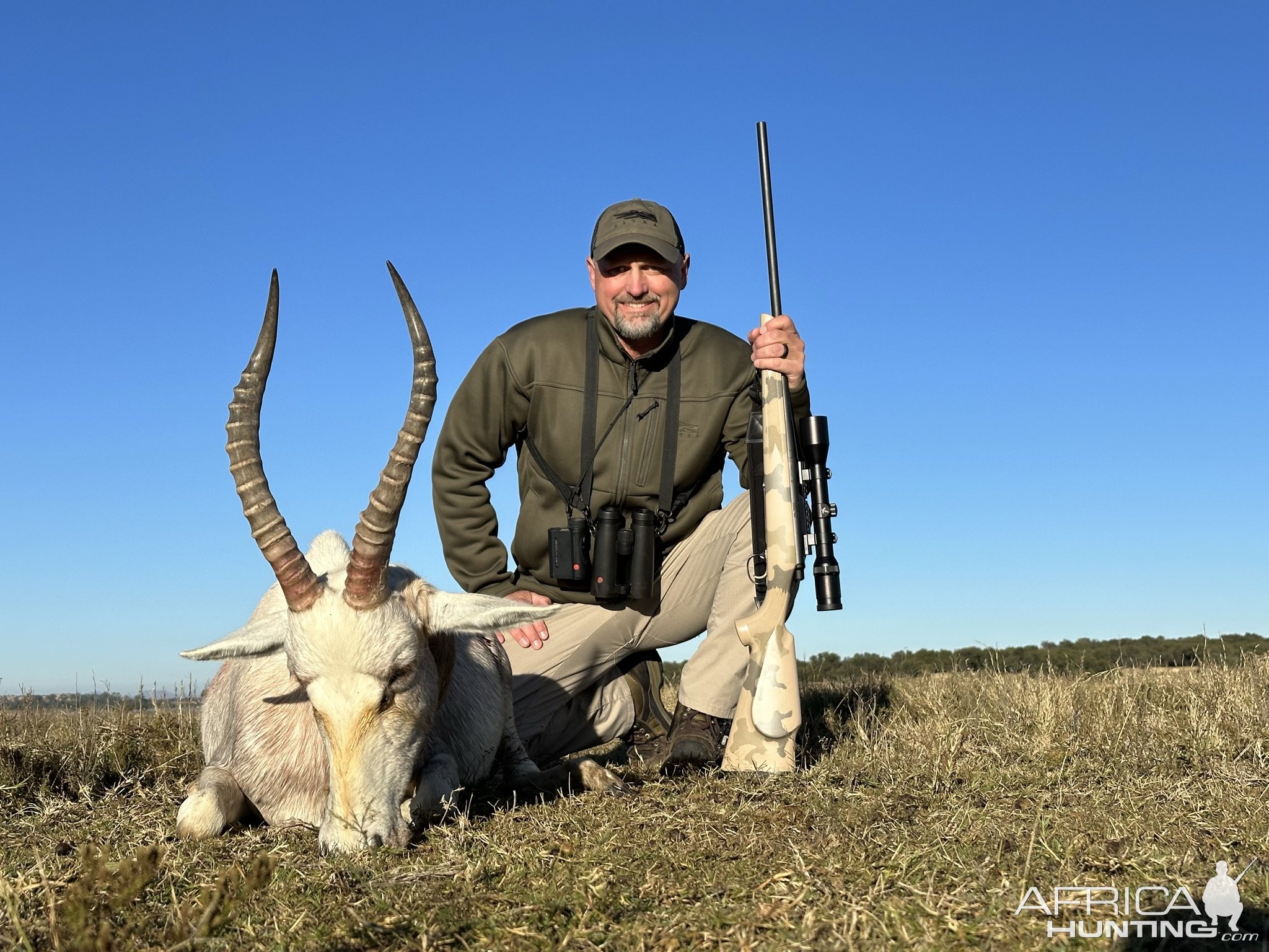 White Blesbok Hunt South Africa