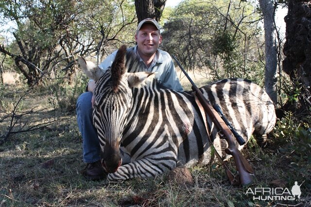 Zebra - South Africa